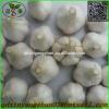 Garlic Production Peeled Garlic Wholesale Price