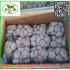 Chinese 2017 Fresh Garlic Price Purple/Red/Pure White Garlic #6 small image