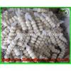 (HOT) Fresh white garlic specification more than 5 cm/GARLIC
