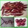 fresh garlic vegetable distributor in China