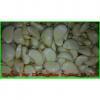 Fresh Chinese Garlic Wholesale Price