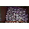 Chinese 2017 Fresh Garlic Price Purple/Red/Pure White Garlic #2 small image