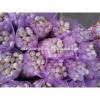 Chinese 2017 Fresh Garlic Price Purple/Red/Pure White Garlic #1 small image