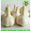 Wholesale Chinese 2017 Fresh Garlic Price Purple/Red/Pure White Garlic #2 small image