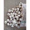 YUYUAN brand hot sail fresh garlic garlic packing #5 small image