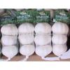YUYUAN brand hot sail fresh garlic garlic packaging