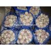 YUYUAN brand hot sail fresh garlic garlic health capsules