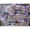 YUYUAN brand hot sail fresh garlic garlic harvester for sale