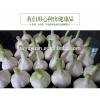 YUYUAN brand hot sail fresh garlic garlic oil price