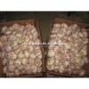 China Garlic Type and Fresh Style