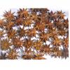 2015 new crop dried star anise