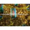 supply chinese fresh taro