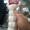 Fresh Garlic Packing In Mesh Bag For Sale In A Wholesale Price