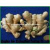 Fresh Garlic For Sale China Garlic Packing In Mesh Bag