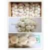 2017 China cheap fresh garlic