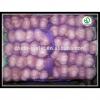 Farm china cheap garlic exporter shandong garlic with great price #4 small image