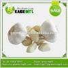 factory price normal white garlic price packed in 10kgs/ctn