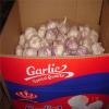 CHINESE GARLIC WITH 10KG CARTON PACKAGE