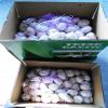 10KG CARTON PACKAGE FOR FRESH GARLIC PRODUCTS