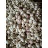 NORMAL WHITE GARLIC WITH MESHBAG PACKAGE TO BAHRAIN