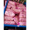 2017 NEW CROP GARLIC WITH KOREAN STANDARD FROM CHINA