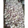 2017 NEW CROP CHINA GARLIC WITH MESHBAG PACKAGE TO DR MARKET