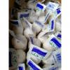 PURE WHITE GARLIC WITH 200G PACKAGE TO TURKEY FROM CHINA