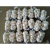NORMAL WHITE GARLIC WITH 250G PACKAGE TO TUNIS FROM CHINA