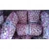 China fresh garlic exported to Thailand market