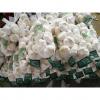 2018 china pure white garlic with 500g*20 bags carton package to Japan Market
