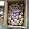 2018 10KG Loose carton Normal white garlic to Brazil Market from china (New Client )