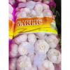China Normal white garlic with meshabg package to Asia Market