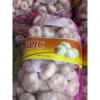 Normal white garlic with meshabg package to Asia Market from china