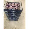 china garlic with 5kg carton package to Brazil