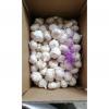 Pure white garlic with 10KG loose carton exported to Kenya market #1 small image