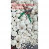 pure garlic with small meshabg package to EU market