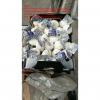 pure garlic with small meshabg package to EU market