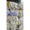 super quality pure white garlic with meshabg package