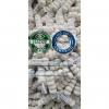 China pure white garlic with tube and carton package for Iraq market.