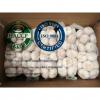 Fresh normal white garlic are exported to  Ghana market from china
