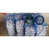 China normal white garlic with meshbag package to Dominica market