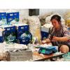 Top quality china pure white garlic are exported to Holland market