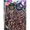 2019 new crop china fresh chestnut