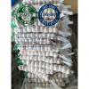 Top Quality Normal white garlic with mesh bag package to Panama market