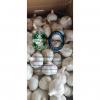 2020 new crop china garlic with 10KG loose carton package to Brazil market #3 small image