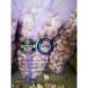 china Normal white garlic with meshbag package to Ecuador Market
