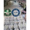China Pure white garlic with meshbag & carton package to Turkey Market