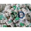 Small Package packed Normal White Garlic To Ukraine Market
