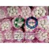 PURE WHITE GARLIC WITH MESHBAG TO TURKEY MARKET FROM CHINA #1 small image