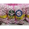 PURE WHITE GARLIC WITH MESHBAG TO TURKEY MARKET FROM CHINA #3 small image